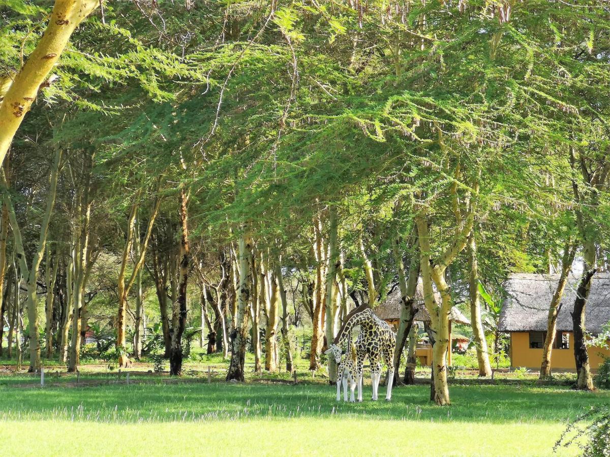 Africa Safari Camping Mto Wa Mbu Kültér fotó